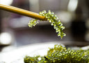 FRESH Umibudo Seagrapes - Currently Out of Stock